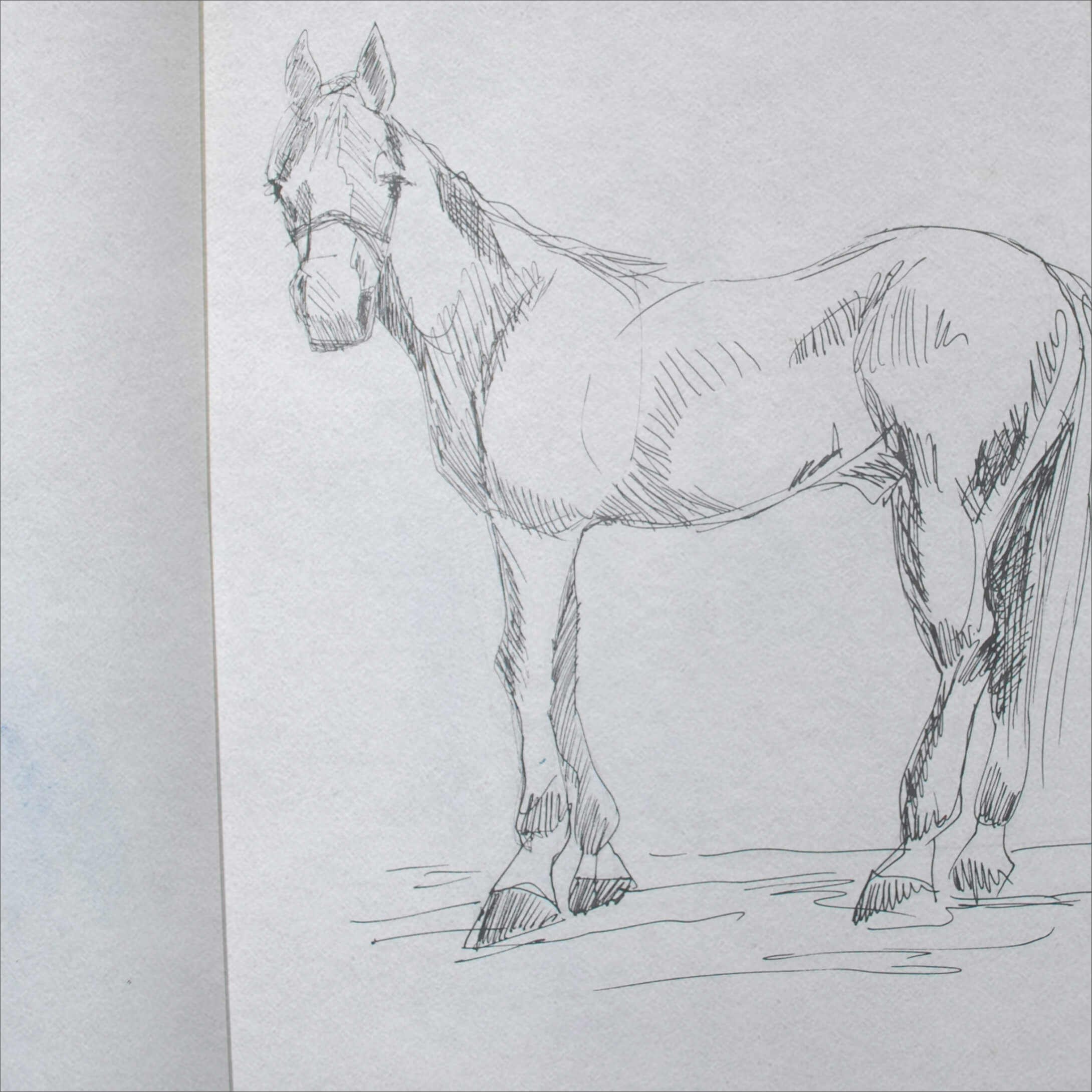 Drawing 09 — Expressive Cross-Hatching